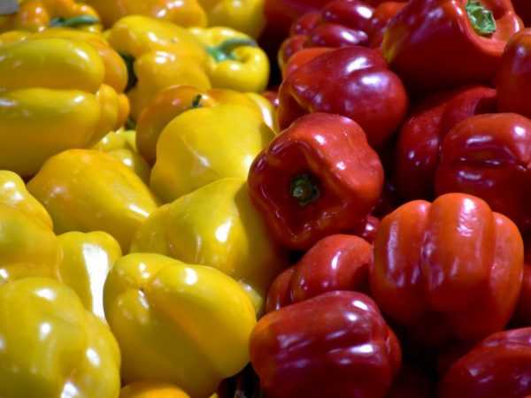 Populære tidlige varianter av pepper