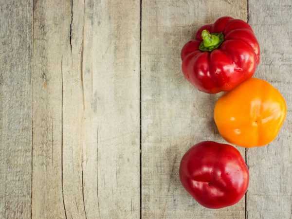 Οι πιπεριές φυτεύονται μόνο με σπορόφυτα