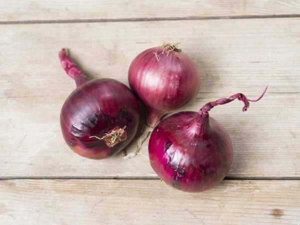 Onion Red Baron