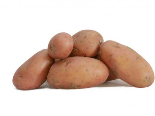 Egenskaper för röd Sonya-potatis