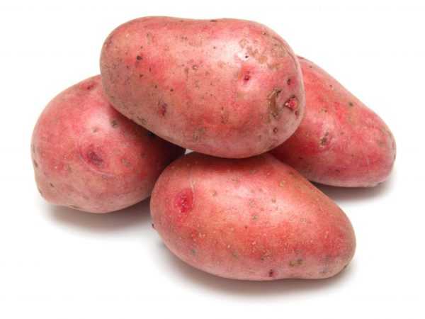 Описание картофеля Розара