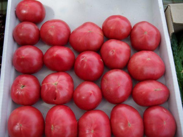 Περιγραφή και χαρακτηριστικά της ποικιλίας ντομάτας Pink Souvenir