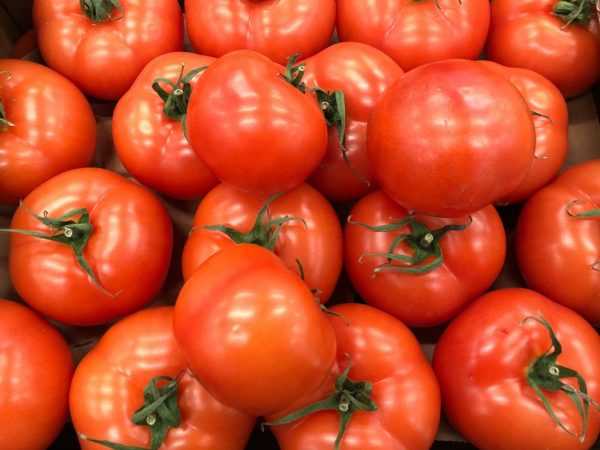 Описание томатов сорта Сахалин