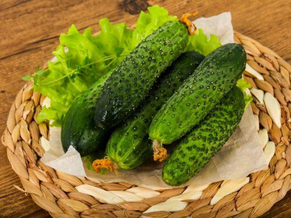 Kenmerken van de variëteit komkommers Satina