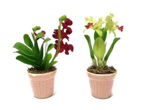 Výhody seramisu pre orchidey