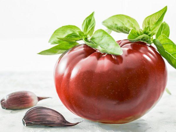 Karakteristik tomat varietas Keajaiban Cokelat