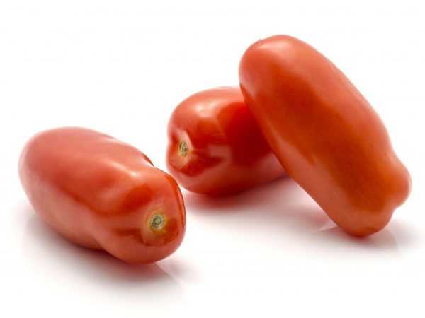 Kjennetegn på variasjonen av tomater Sibirsk overraskelse