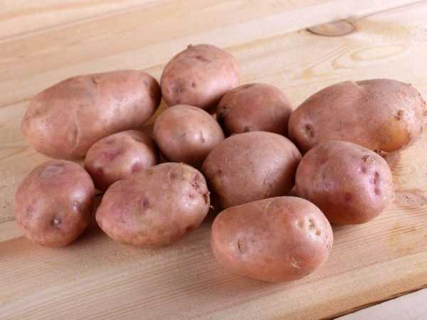 Penerangan mengenai kentang Sineglazka