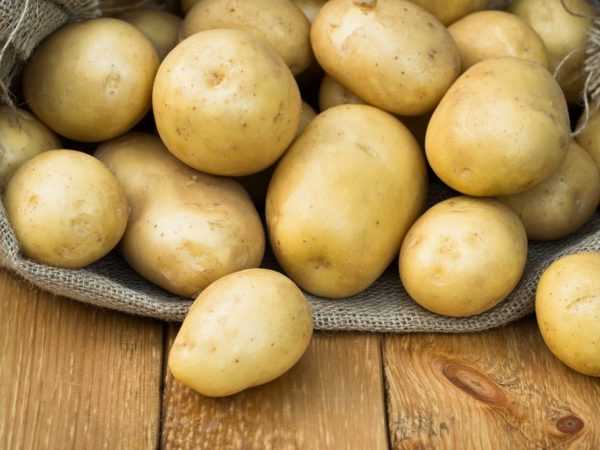 Kenmerken van Treasure-aardappelen