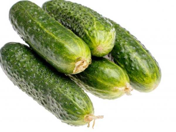 Beschrijving van variëteiten van komkommers met de letter C