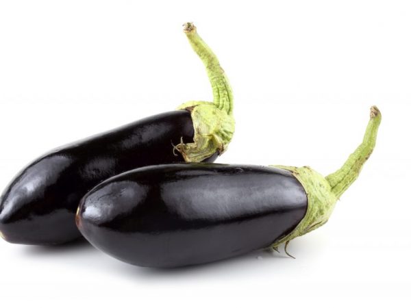 Bayanin yarima eggplants