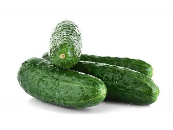 Halayen temp f1 cucumber