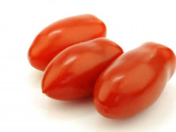 Ciri-ciri tomato Torquay