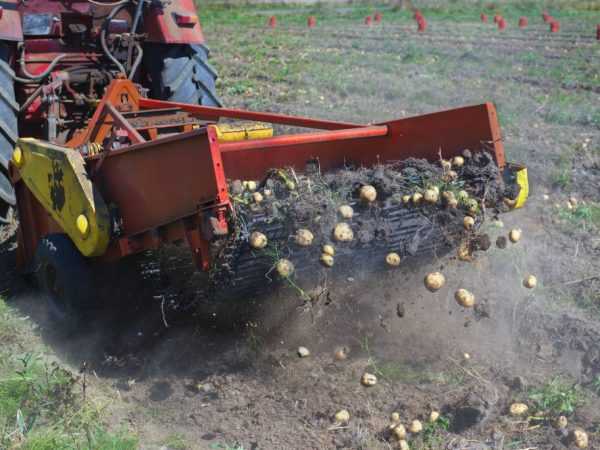Typer traktorer for bearbeiding av poteter