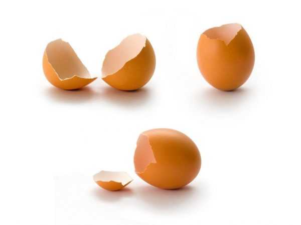 Coji subțiri și slabe în ouăle de găină