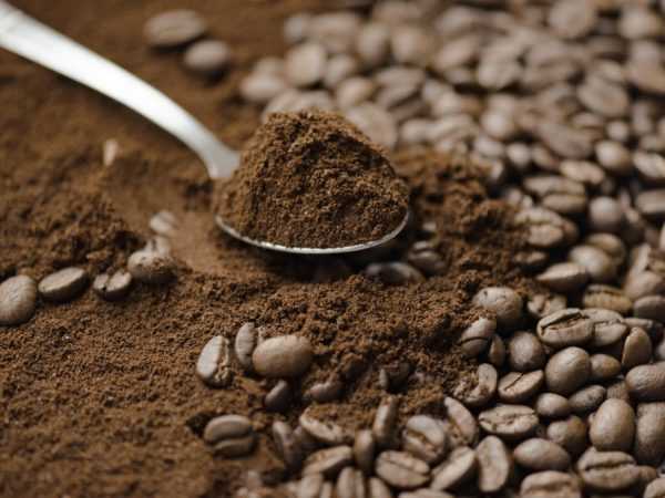 В кофейной гуще содержится много витаминов
