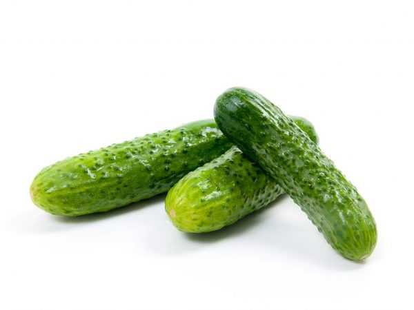 Halayen cucumbers iri-iri Vse Buchkom