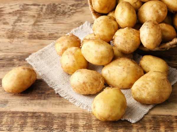 Характеристика картофеля сорта Янка