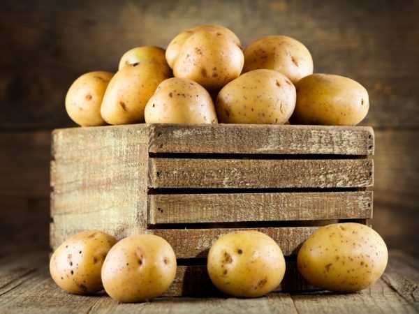 Правила изготовления ящика для картофеля