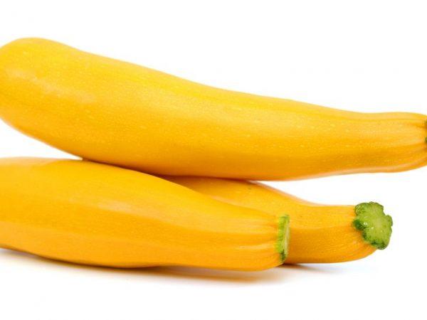 Dyrker gul zucchini