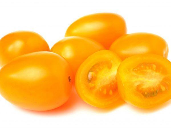 Ciri-ciri tomato Zolotoy Königsberg